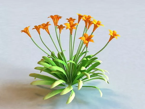 Canna Flowering Plant 3d model Canna Flowering Plant 3d model