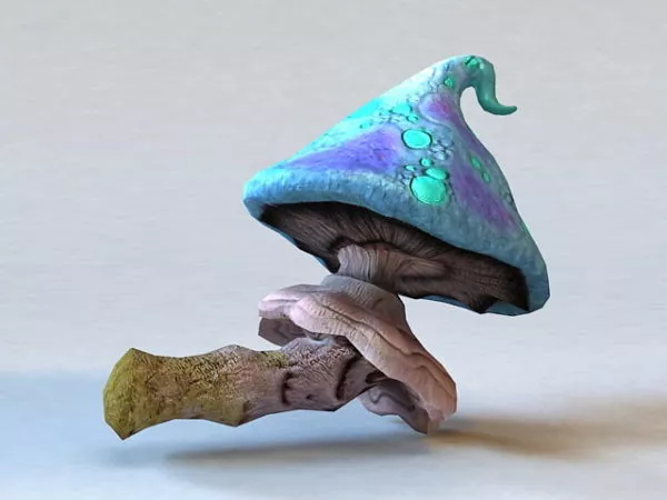 Giant Mushroom 3d model Giant Mushroom 3d model