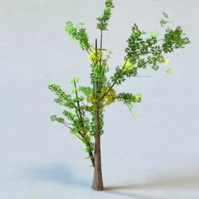 Generic Tree 3d model
