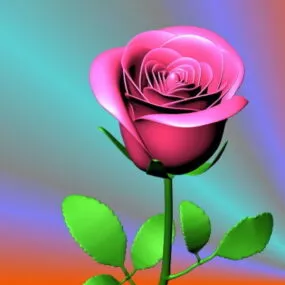 Red Rose Flower 3d model