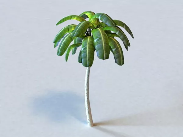 Banana Tree Plant 3d model Banana Tree Plant 3d model