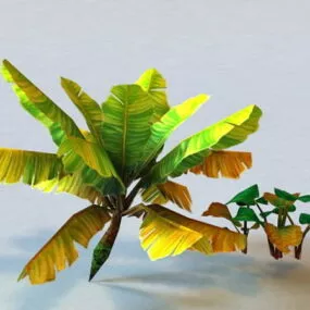Tropical Plant Low Poly 3d model