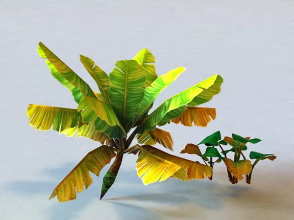 Tropical Plant Low Poly 3d model Tropical Plant Low Poly 3d model