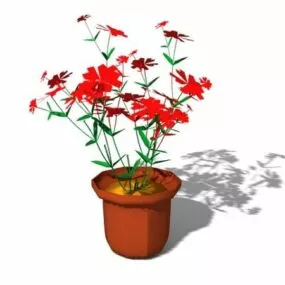 Potted Plant Flowers 3d model