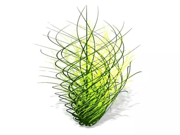 Wheat Grass 3d model