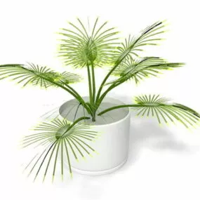 Potted Palm Plant 3d model