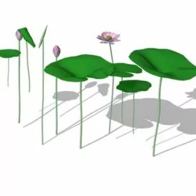 Indian Lotus Aquatic Plants 3d model