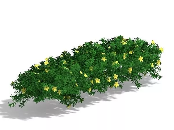 Flowering Ground Cover Plants 3d model Flowering Ground Cover Plants 3d model