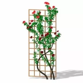 Climbing Trellis Plants 3d model