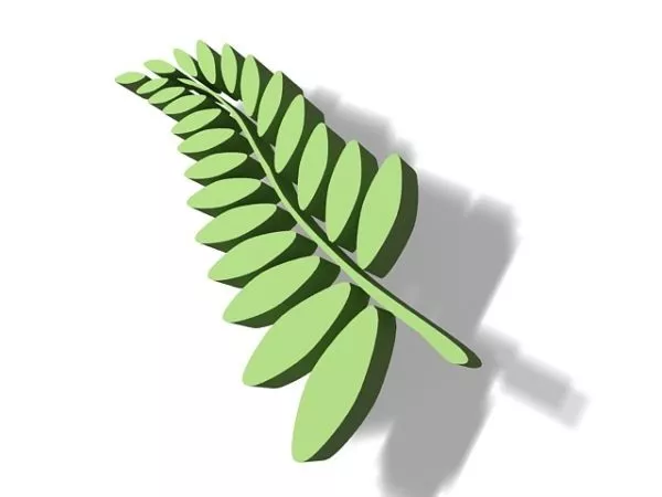 Leaf Arrangement 3d model Leaf Arrangement 3d model