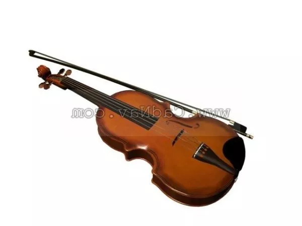Violin Instrument With Accessories 3d model