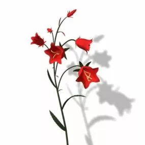Clustered Bellflower 3d model