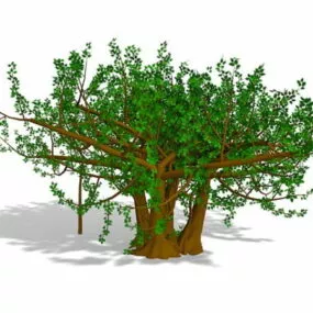 Foliage Tree 3d model