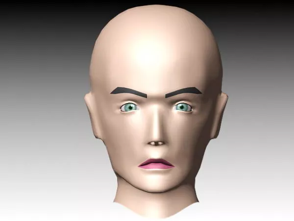 Aged Man Head 3d model