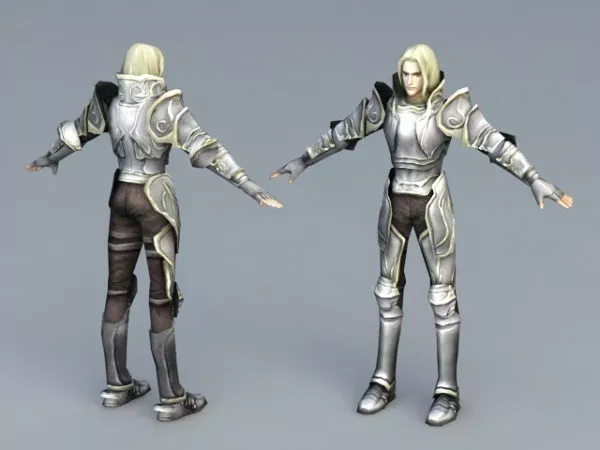 Armored Swordman Mediaeval Character 3d model