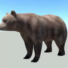 Brown Bear Rig 3d model