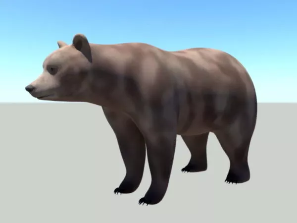 Brown Bear Rig 3d model Brown Bear Rig 3d model
