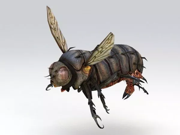 Blowfly Rig 3d model Blowfly Rig 3d model