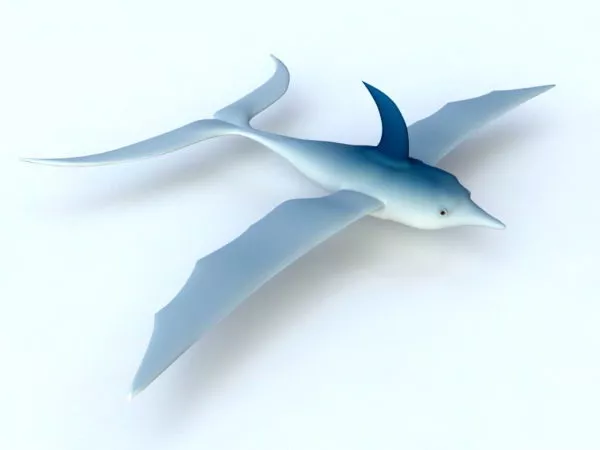 Flying Dolphin 3d model Flying Dolphin 3d model