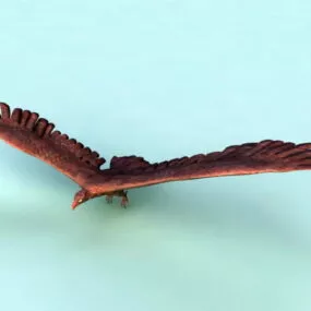 Black Falcon Rig 3d model