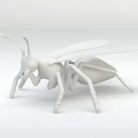 Asian Hornet 3d model