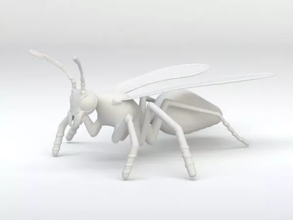Asian Hornet 3d model Asian Hornet 3d model