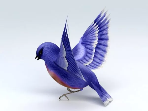 Blue Hummingbird 3d model Blue Hummingbird 3d model