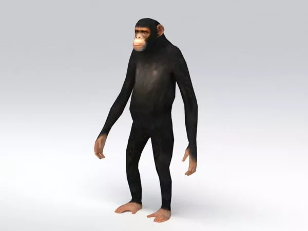 Giant Ape 3d model