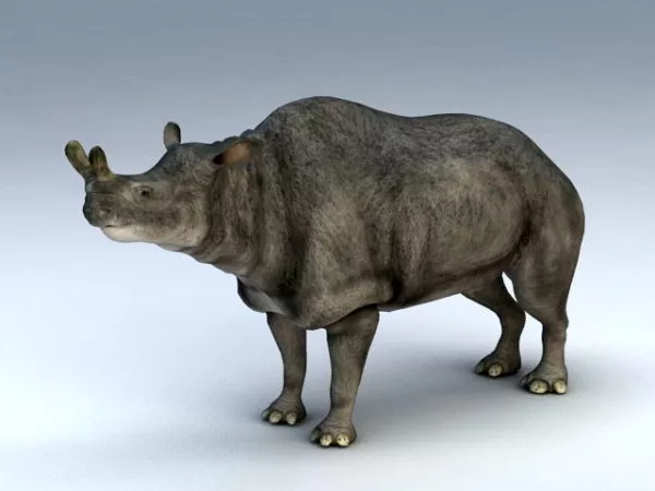 Brontotherium Megacerops Rig 3d model Brontotherium Megacerops Rig 3d model
