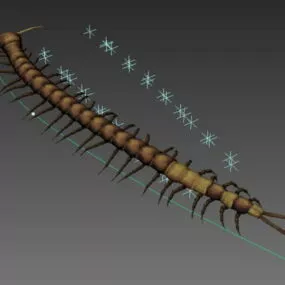 Animated Centipede Rig 3d model