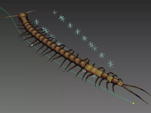Sandworm Creature 3d model