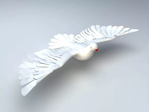 White Pigeon Animated Rig 3d model White Pigeon Animated Rig 3d model