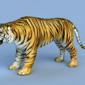 Tiger Rigged 3d model