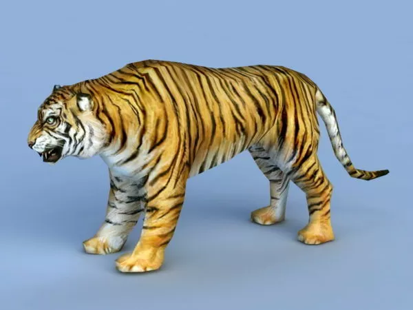 Tiger Rigged 3d model Tiger Rigged 3d model