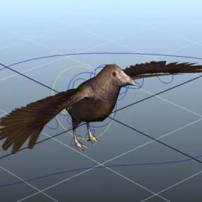 Crow Rig 3d model