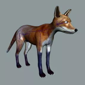 Red Fox Rigged 3d model
