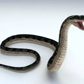 Snake Attacking Rigged And Animated 3d model