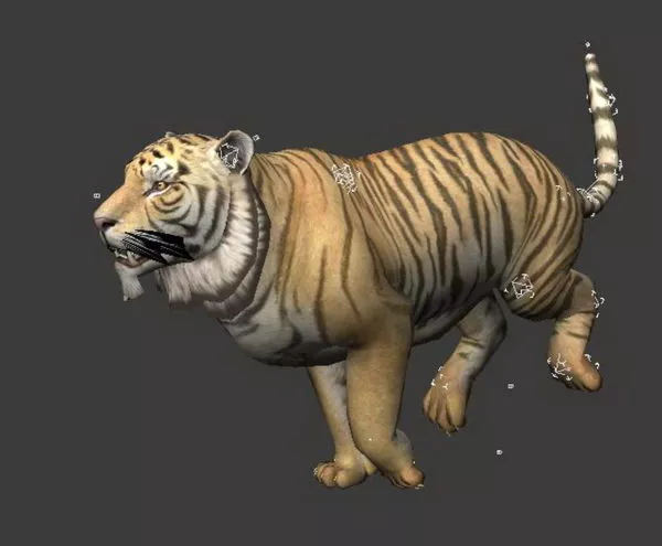 Tiger Running Animation 3d model Tiger Running Animation 3d model