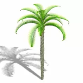 King Sago Palm 3d model