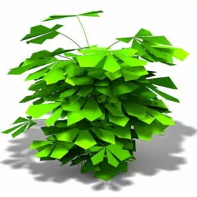 Philodendron Indoor Plant 3d model