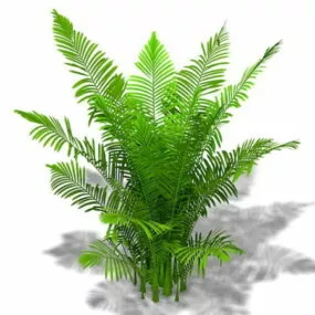Areca Palm Plant 3d model