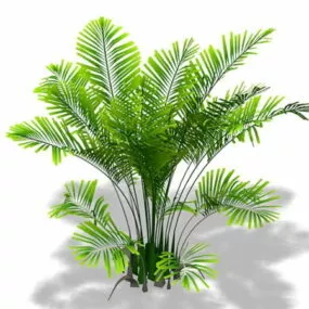 Areca Palm Plant 3d model