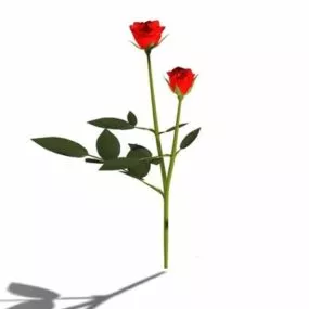 Red Rose Flowers 3d model