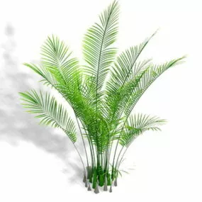 Ostrich Fern Ornamental Plant 3d model
