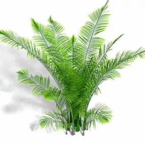 Ostrich Fern Plant 3d model