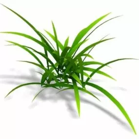 Pasture Grass 3d model