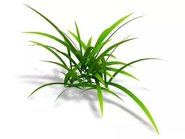 Pasture Grass 3d model Pasture Grass 3d model
