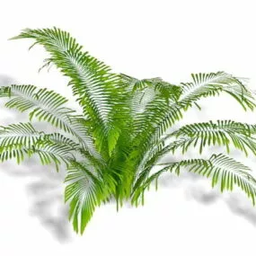 Ostrich Fern 3d model