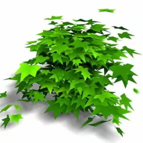 Maple Shrub 3d model
