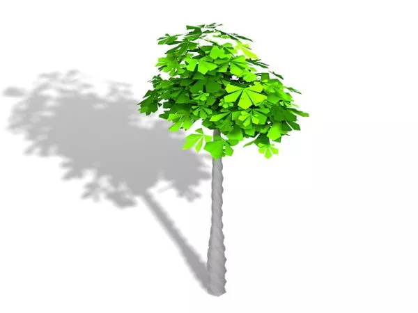 Braided Money Tree 3d model Braided Money Tree 3d model